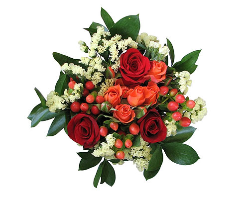 Imagen Roseberry14